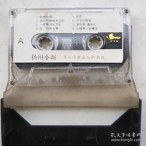 影像唱機、通訊音像制品與音像制品制作 收藏雜項的多元魅力